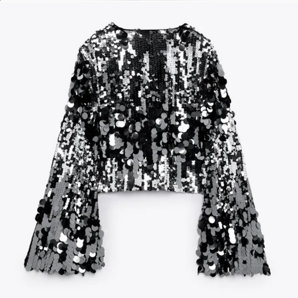 Zara | Tops | Zara Special Edition Sequin Crop Top | Poshmark